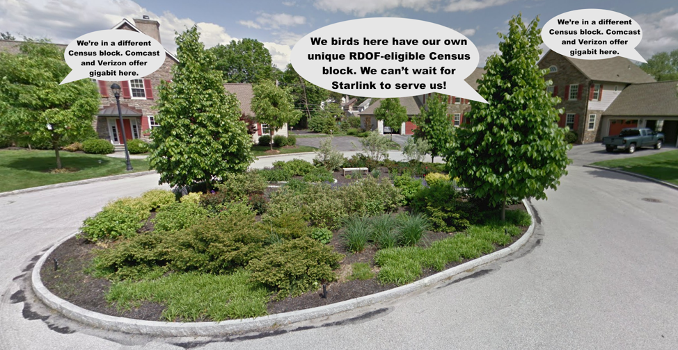 Birds in the Philly suburb of Wynnewood Thumbnail