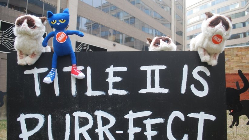 Stuffed-animal cats perched on sign reading "Title II is purr-fect"