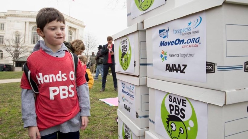 Boy looking at petition boxes