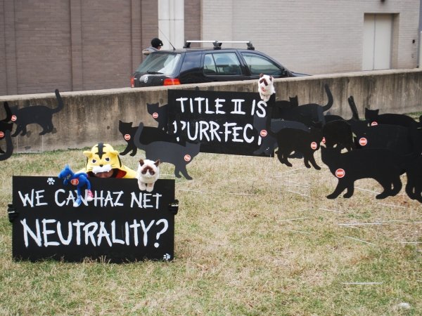 Stuffed-animal cats + signs reading "We can haz Net Neutrality?" and "Title II is purr-fect"