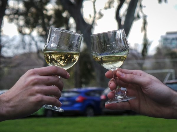Two people clinking wine glasses