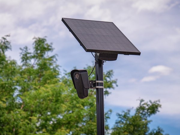 Flock surveillance camera