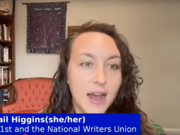 Journalist Abigail Higgins during a webinar on local news