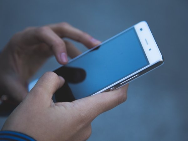 Person holding cellphone