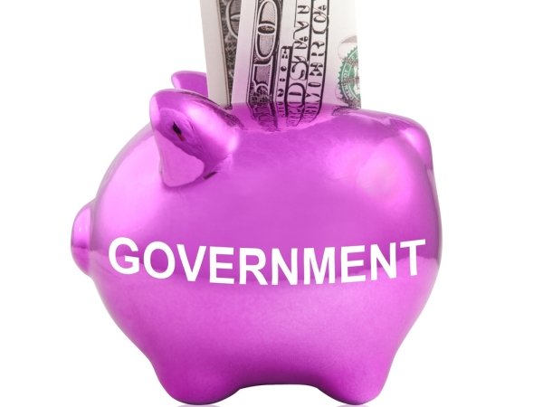 Pink piggy bank marked "government" with dollar bills sticking out