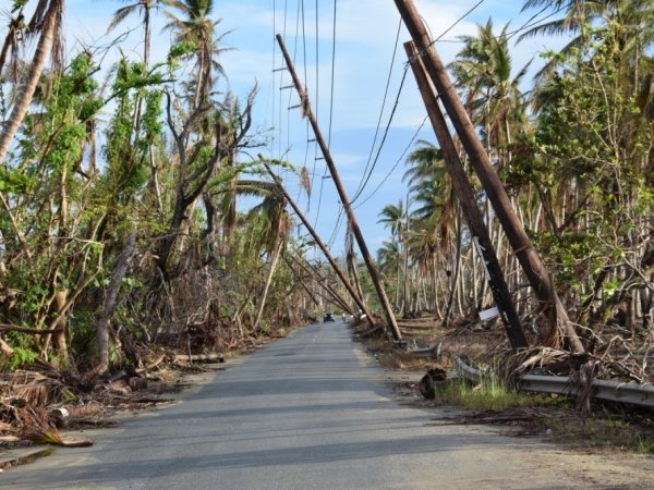 Destroyed Puerto Rico lines following Hurricane Maria