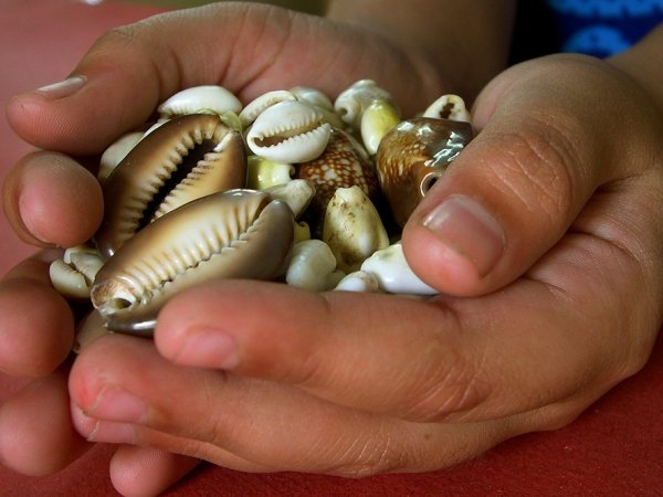 Hands holding seashells