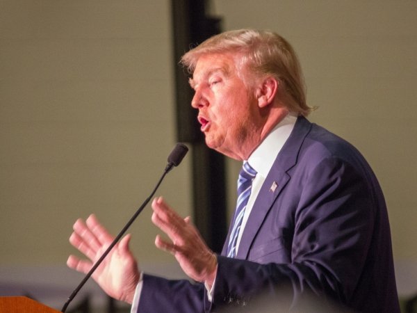 Trump in profile
