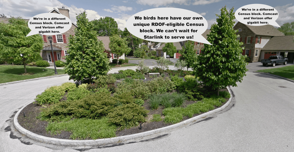 Cul-de-sac in the Philly suburb of Wynnewood with comic cartoon bubbles depicting things that birds are allegedly saying (like "We're in a different census block. Comcast and Verizon offer gigabit service here."