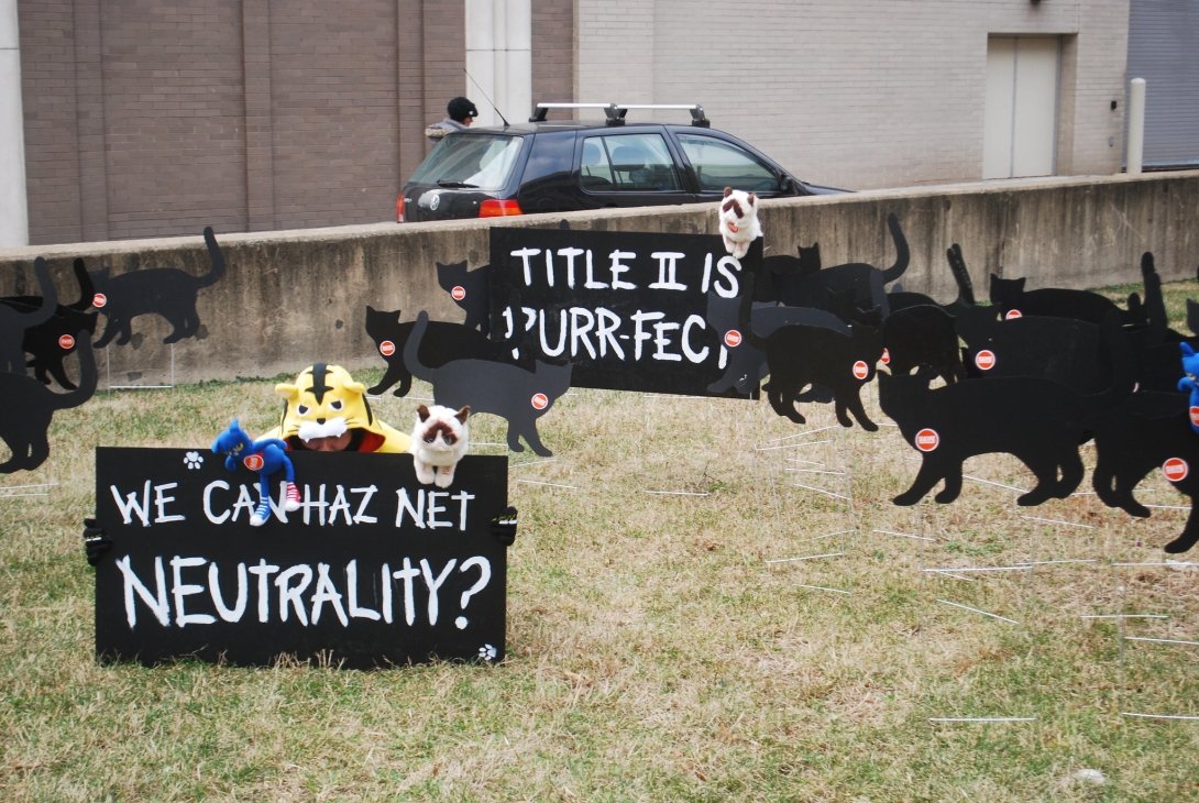 Stuffed-animal cats + signs reading "We can haz Net Neutrality?" and "Title II is purr-fect"