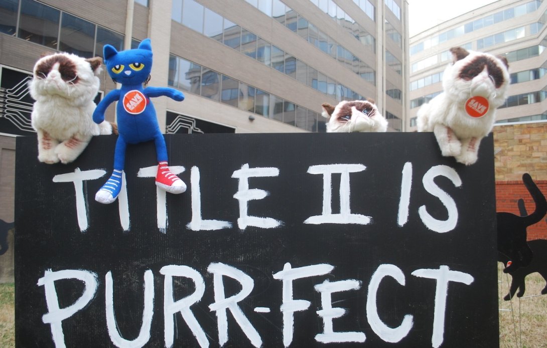 Stuffed-animal cats perched on sign reading "Title II is purr-fect"