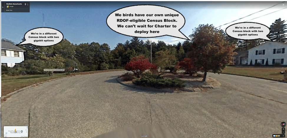 Photo showing plot of trees in middle of neighborhood, with thought bubbles conveying "We birds have our own unique RDOF-eligible census block"