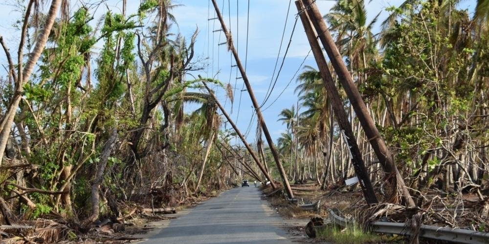 picture of hurricane damage to power lines in Puerto Rico