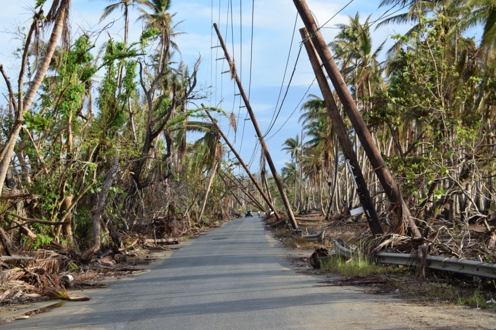 Destroyed Puerto Rico lines following Hurricane Maria