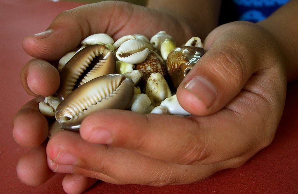 Hands holding seashells