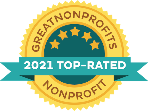 Great Nonprofits 2020 Top-Rated Nonprofit